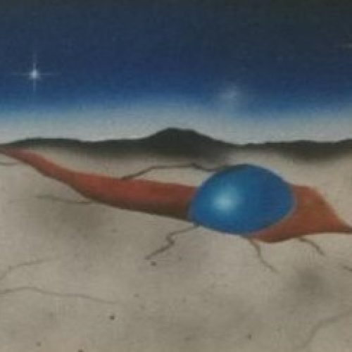 Аэрограф4 Харальд Визнер