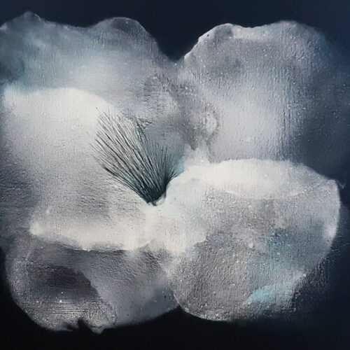 Blossom - Susanne Czerny