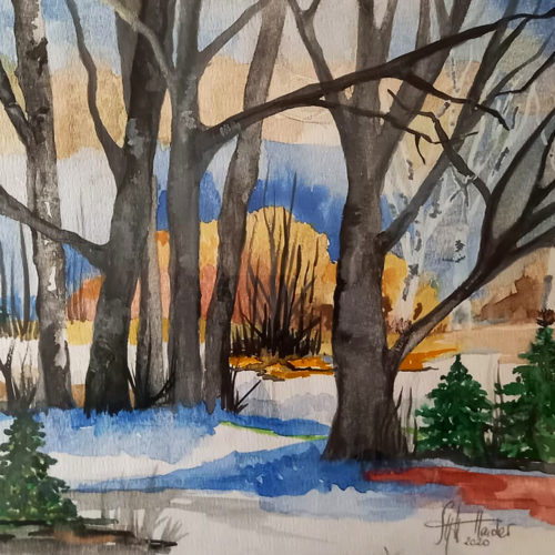 V lužním lese - Sylvia Haider