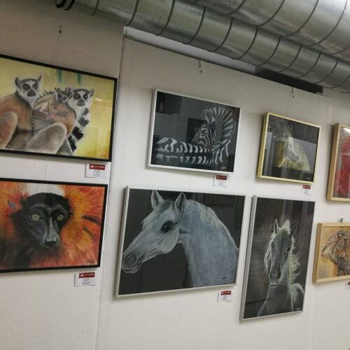 Силвия Кьолбъл - Животинско изкуство - 25.08.2021