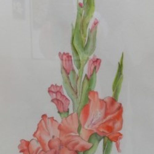 Гладиолус I