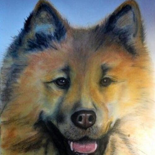 Sylvia KÖLBL, Chow Chow