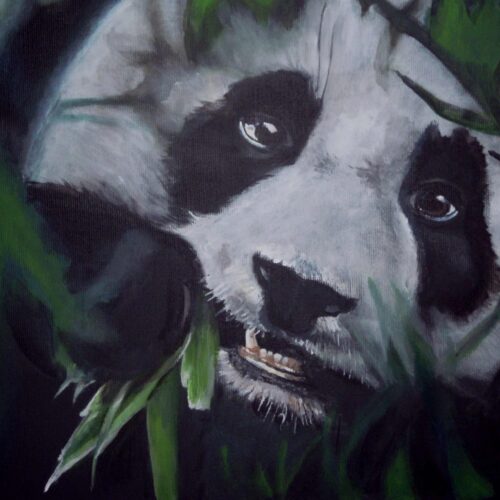 Sylvia KÖLBL, Panda Portré