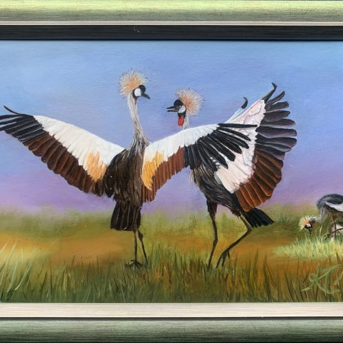 Taçlı turnaların dansı