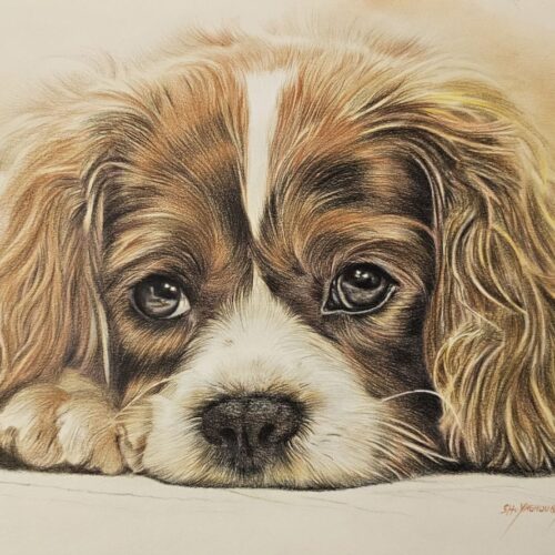 Собака, що чекає.