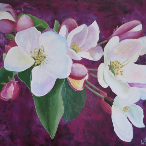 Черешови цветове