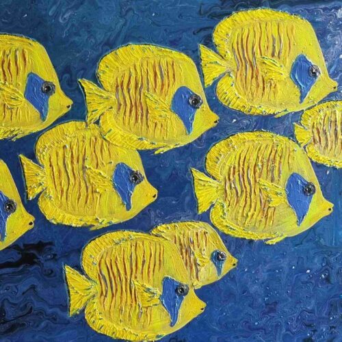 Острови Сийл Chaetodon semilarvatus