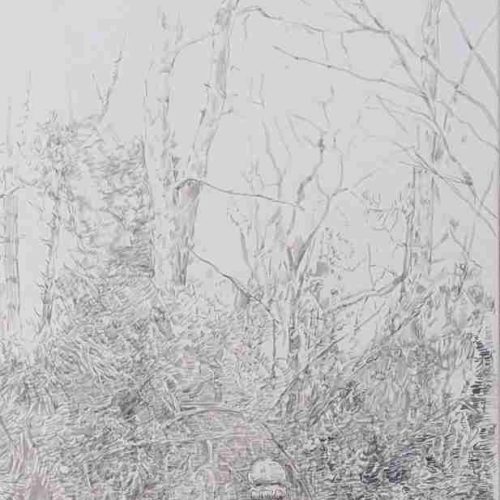 Japanischer Garten in Wien Laaerberg