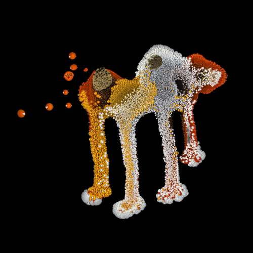 Potentize Resim No. 3