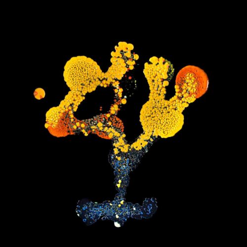 Potentný obraz č. 7