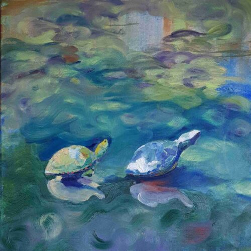 Черепахи в ніч на Івана Купала