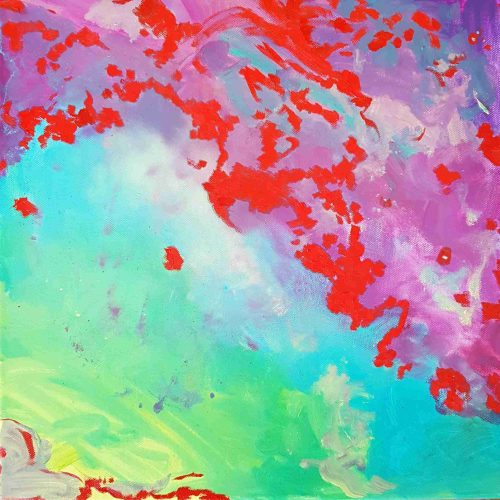 Vista dalla mia finestra