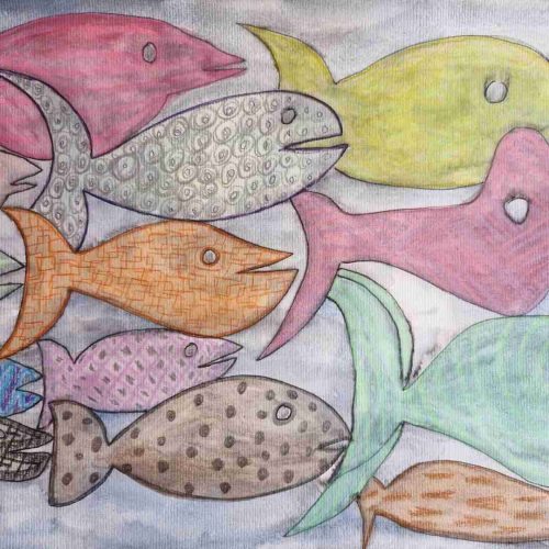 Meeresfauna des Adriatischen Meeres