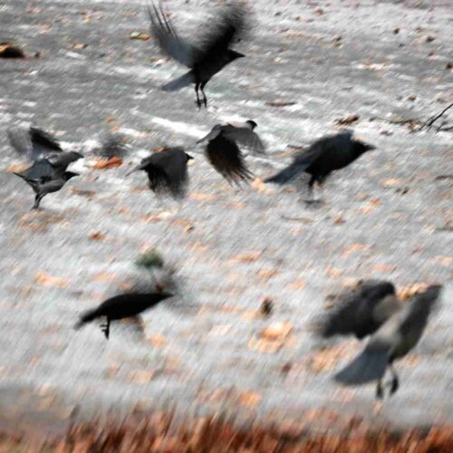 All out / Ausschreibung ‚All in‘