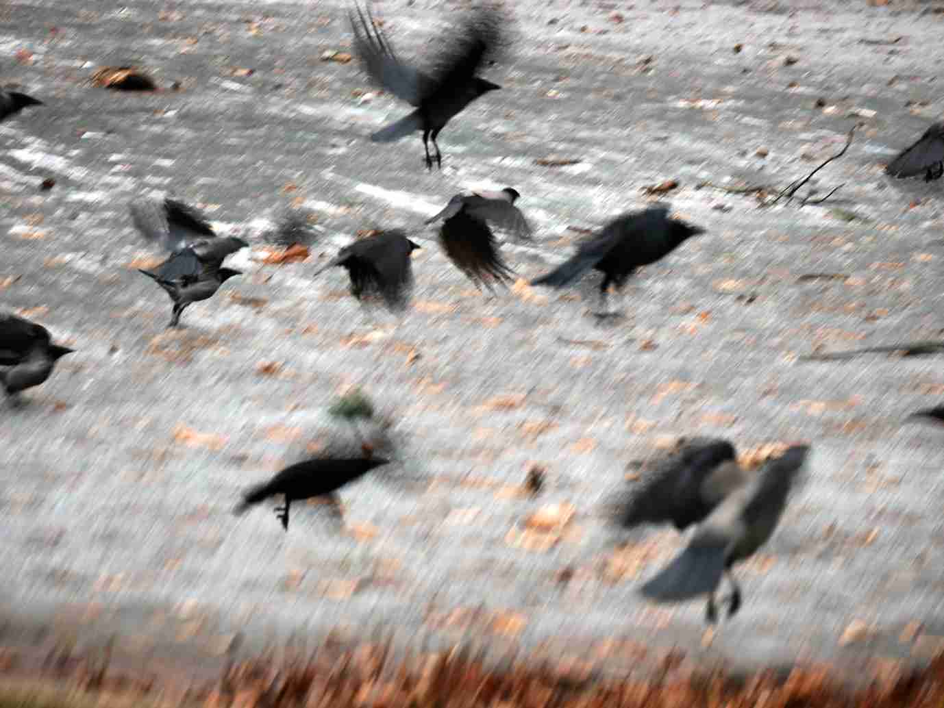 All out / Ausschreibung ‚All in‘