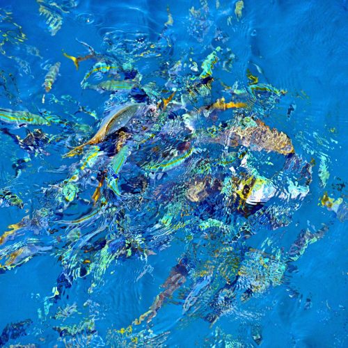 enjoy the sea – ltd