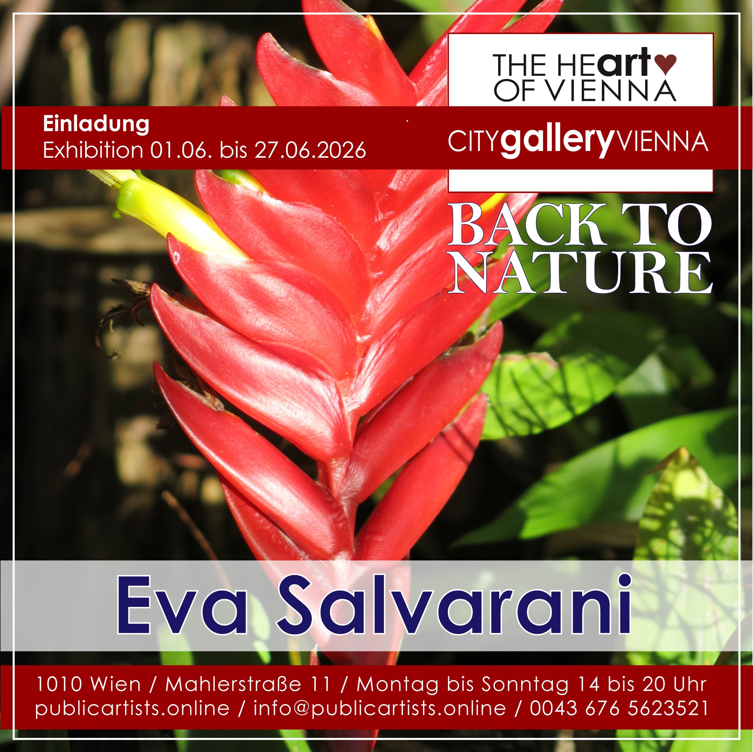 Eva Salvarani présente „ BACK TO NATURE “ à la CITYgalleryVIENNA